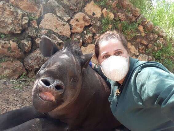 העובדים ממוגנים בספארי // צילום: דוברות הספארי