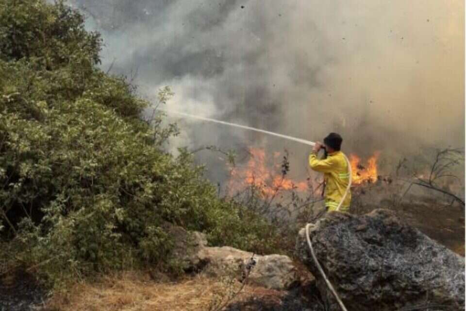 כבאים נאבקים בשריפה ליד בית שמש // צילום: דוברות כבאות והצלה ,