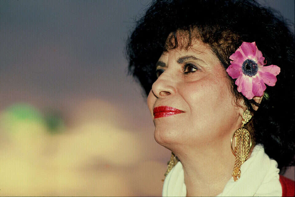 שושנה דמארי , משה שי
