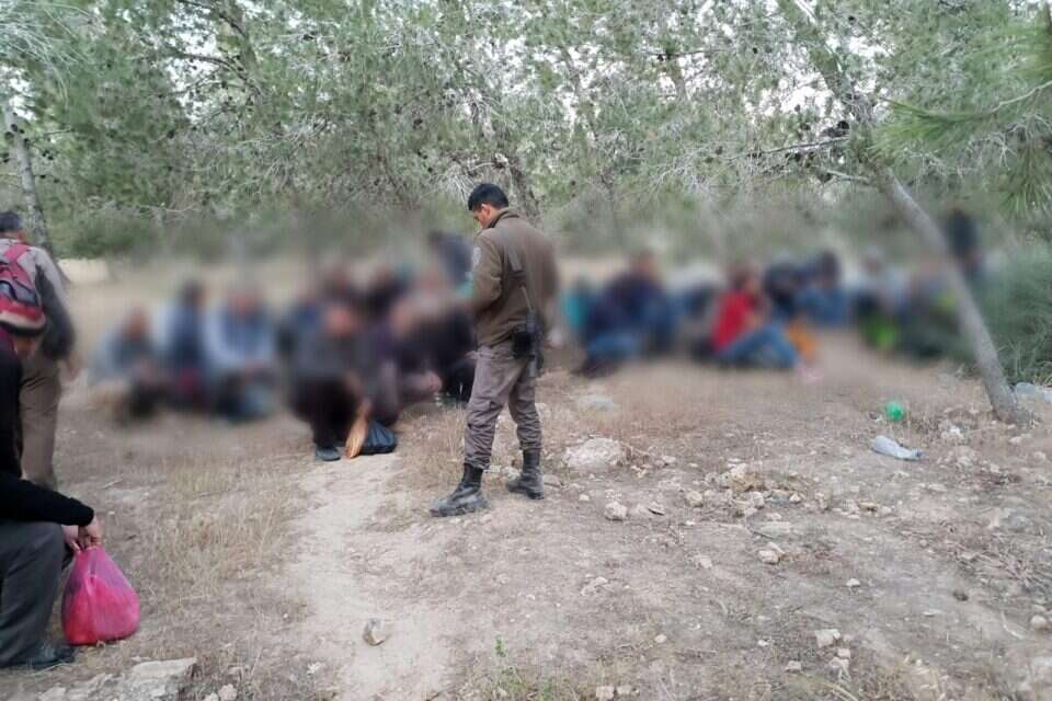 חלק מהשב"חים שנתפסו ביער יתיר // צילום: דוברות המשטרה ,