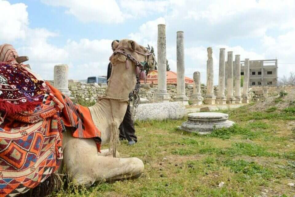 הגן הלאומי סבסטיה , תיירות שומרון
