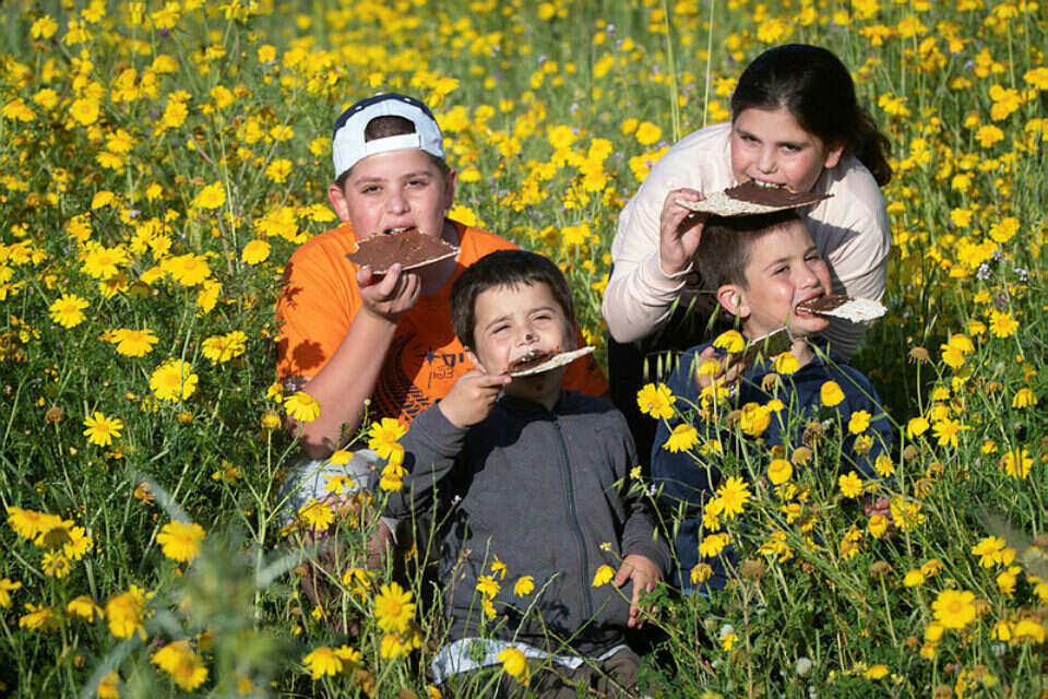 צילום: אייל מרגולין/ג'יני // מטיילים בחג הפסח במהלך השבת ,