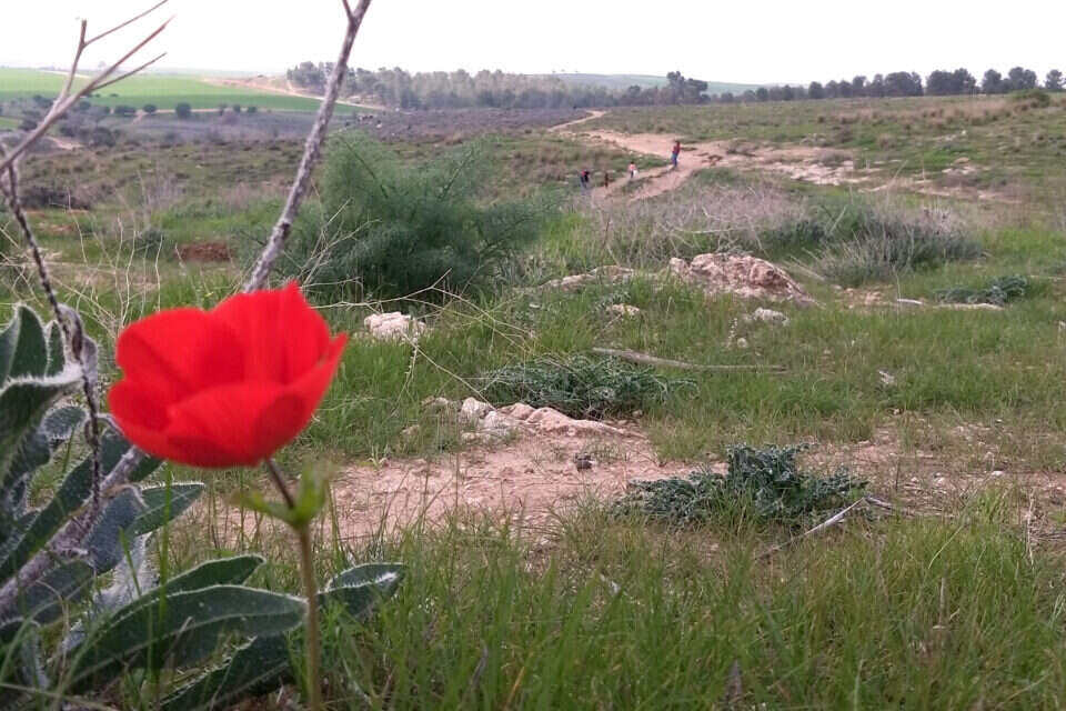 שמורת פורה ,