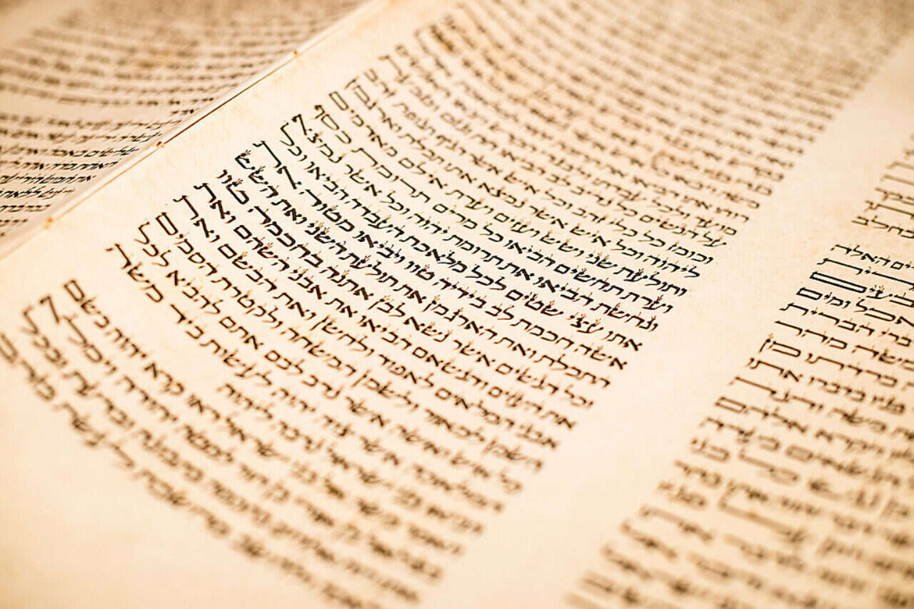 דעה | ועידת התנ