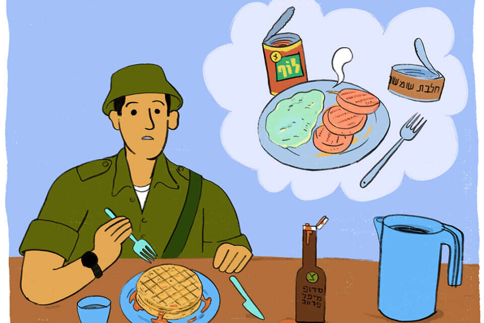 איור: נדב מצ'טה ,