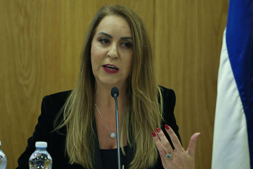 מנכ"לית ועדת הבחירות אורלי עדס הפורשת , אורן בן חקון