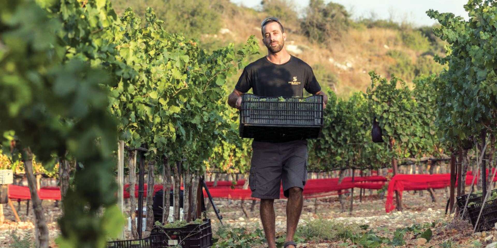 הכורם יאיר תמיר, במתחם שבו מתוכנן לקום היקב // צילום: מוטי פישביין ,