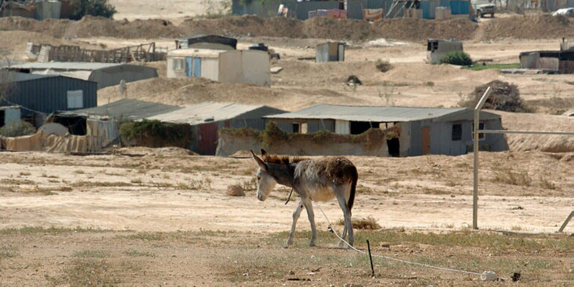 בעיית פוליגמיה קשה במגזר הבדואי