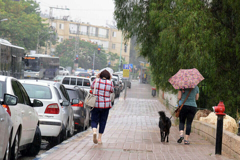 מזג האוויר הסתווי עדיין רחוק , דודו גרינשפן