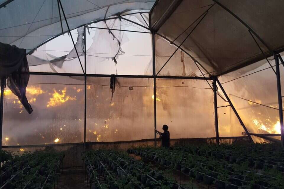 השריפה מתוך החממות של מושב עין הבשור // צילום: שמעון ברק // השריפה מתוך החממות של מושב עין הבשור // צילום: שמעון ברק ,