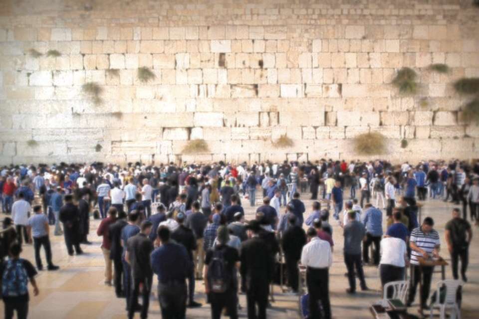 הכותל המערבי // צילום: אורן בן חקון ,