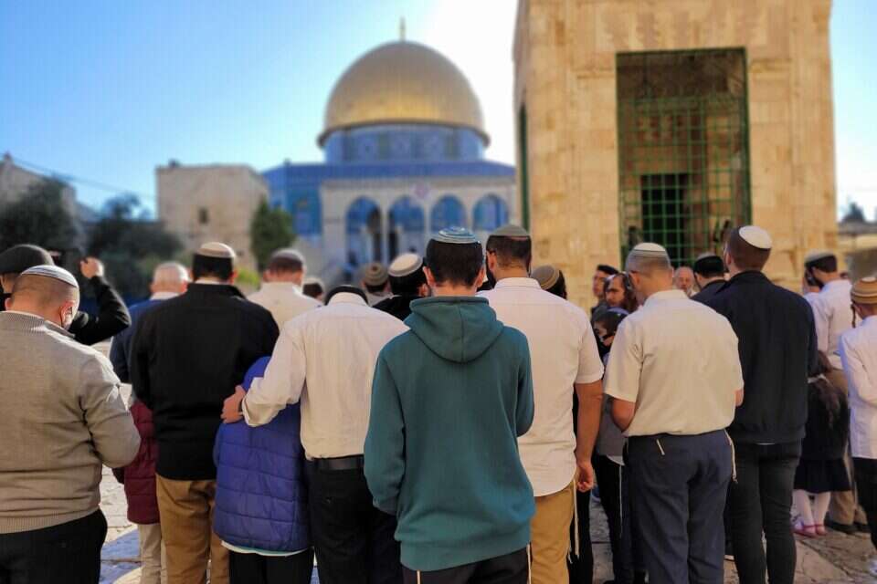 מתפללים הבוקר בהר הבית , מינהלת הר הבית
