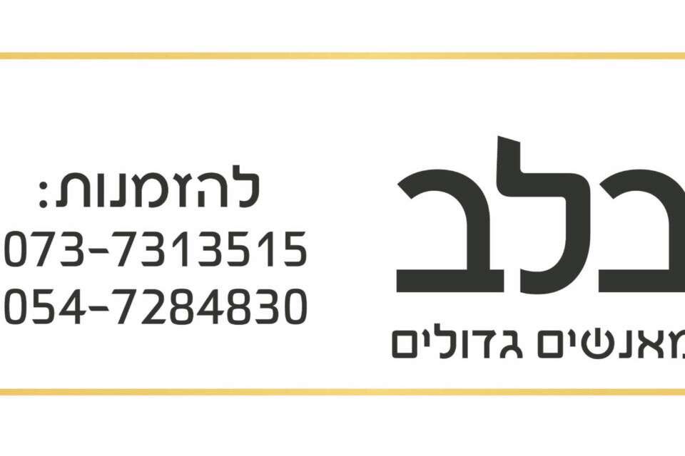 צילום:  //  , 
