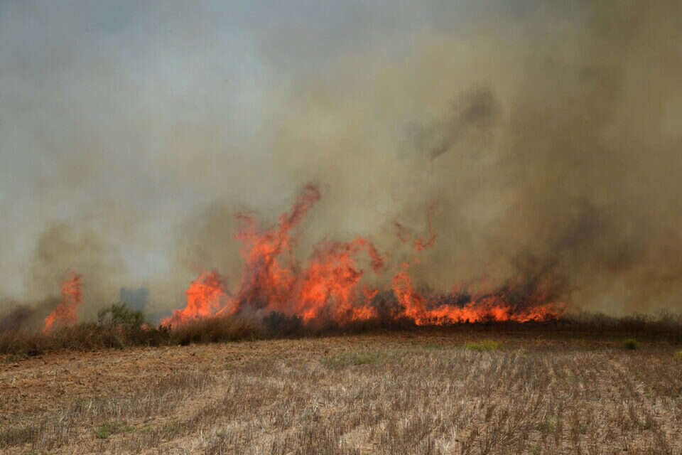 שריפות בעוטף עזה // צילום (ארכיון): דודו גרינשפן ,