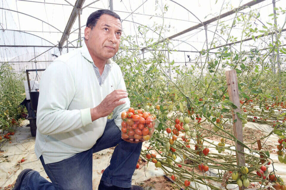 שקד. התפשר על גובה הפיצוי // צילום: דודו גרינשפן , 