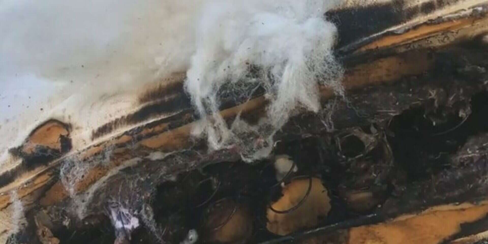 צילום מסך מתוך הסרטון ,