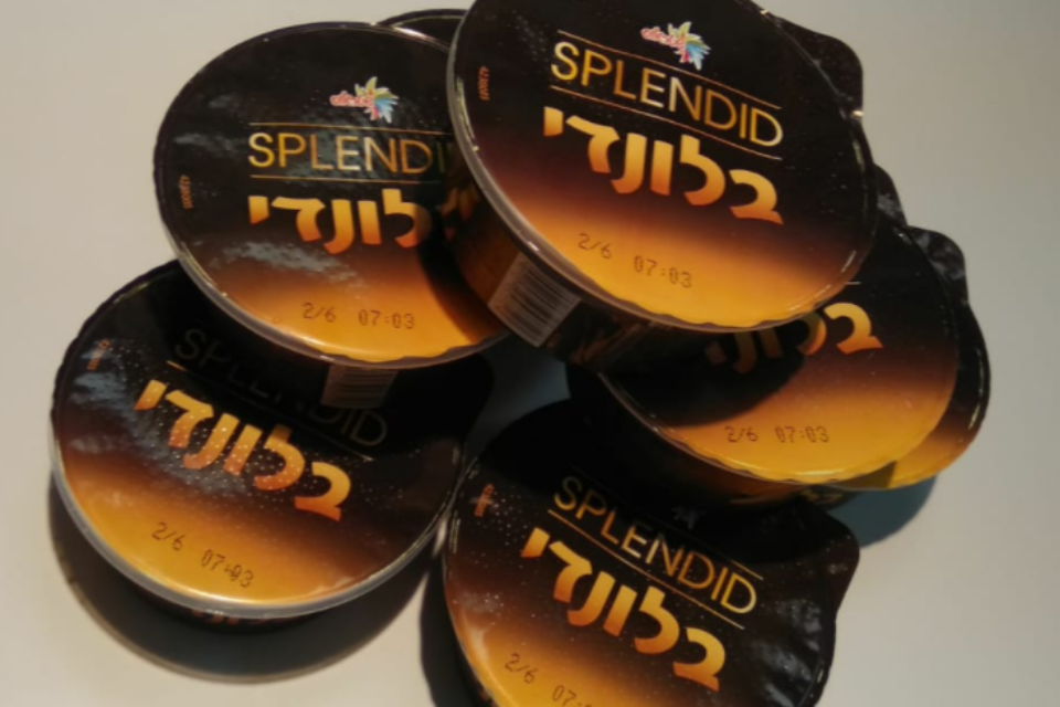 בלונדי // צילום: יואן בן חיים , 