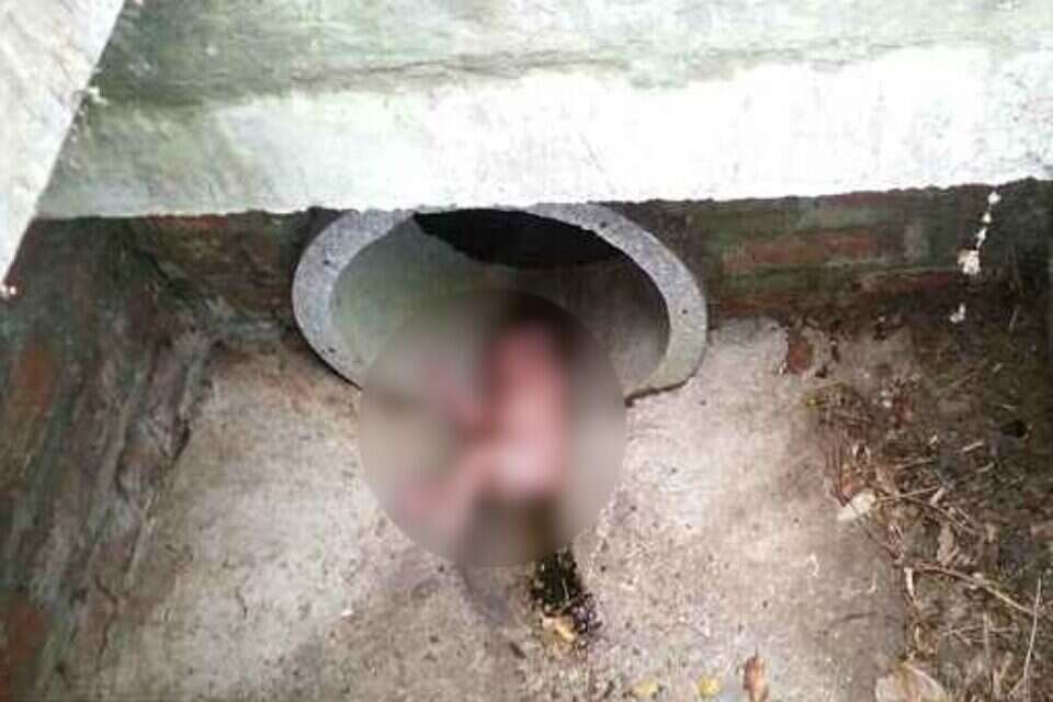 "מי היה יכול לעשות דבר כזה?" // צילום: פייסבוק ,
