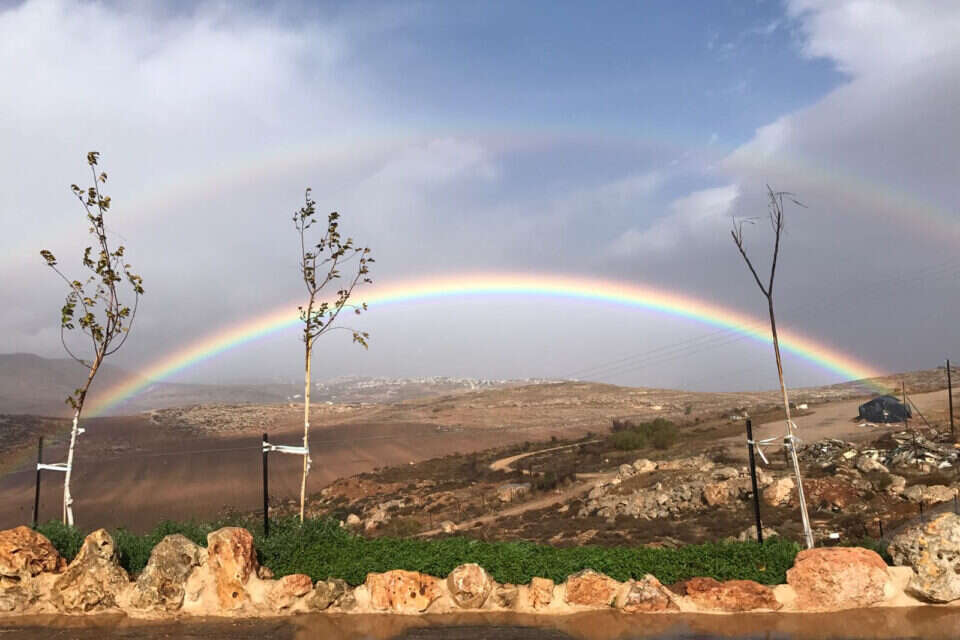 צילום: ידעאל ניצן/TPS ,