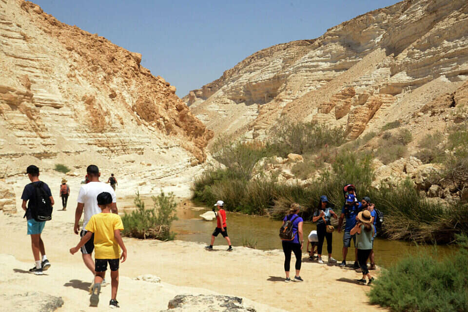 טמפרטורות לוהטות , דודו גרינשפן