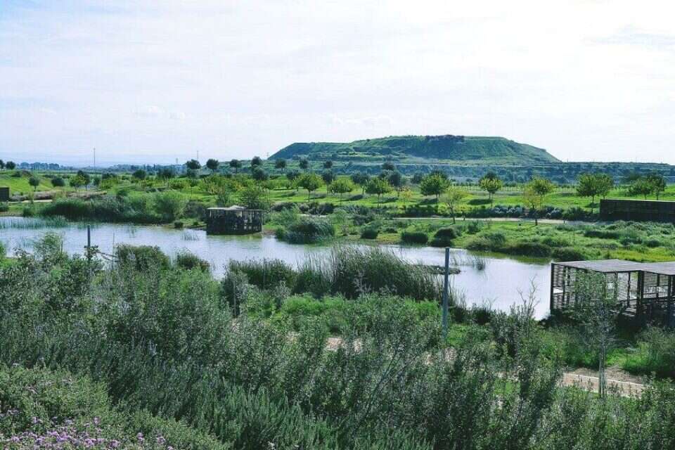 מתחם מגוון ביולוגי , 