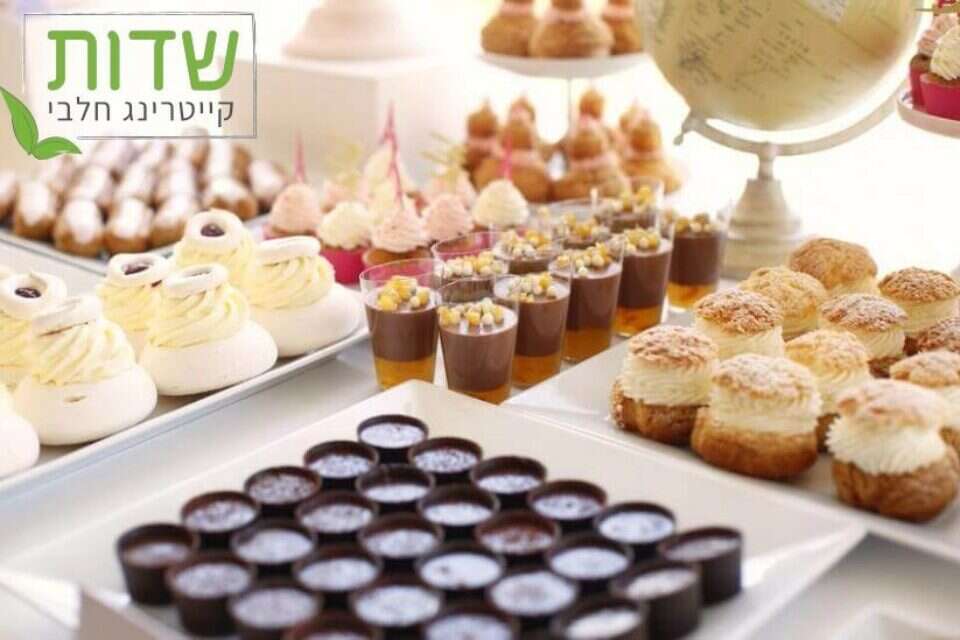 צילום: // ,