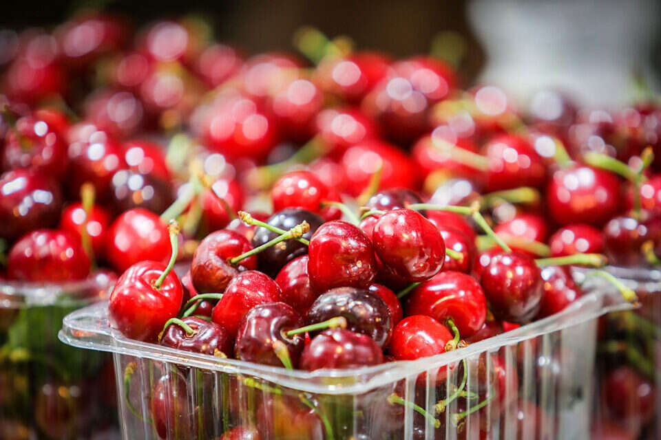 After rising in price "The price of cherries is expected to fall in