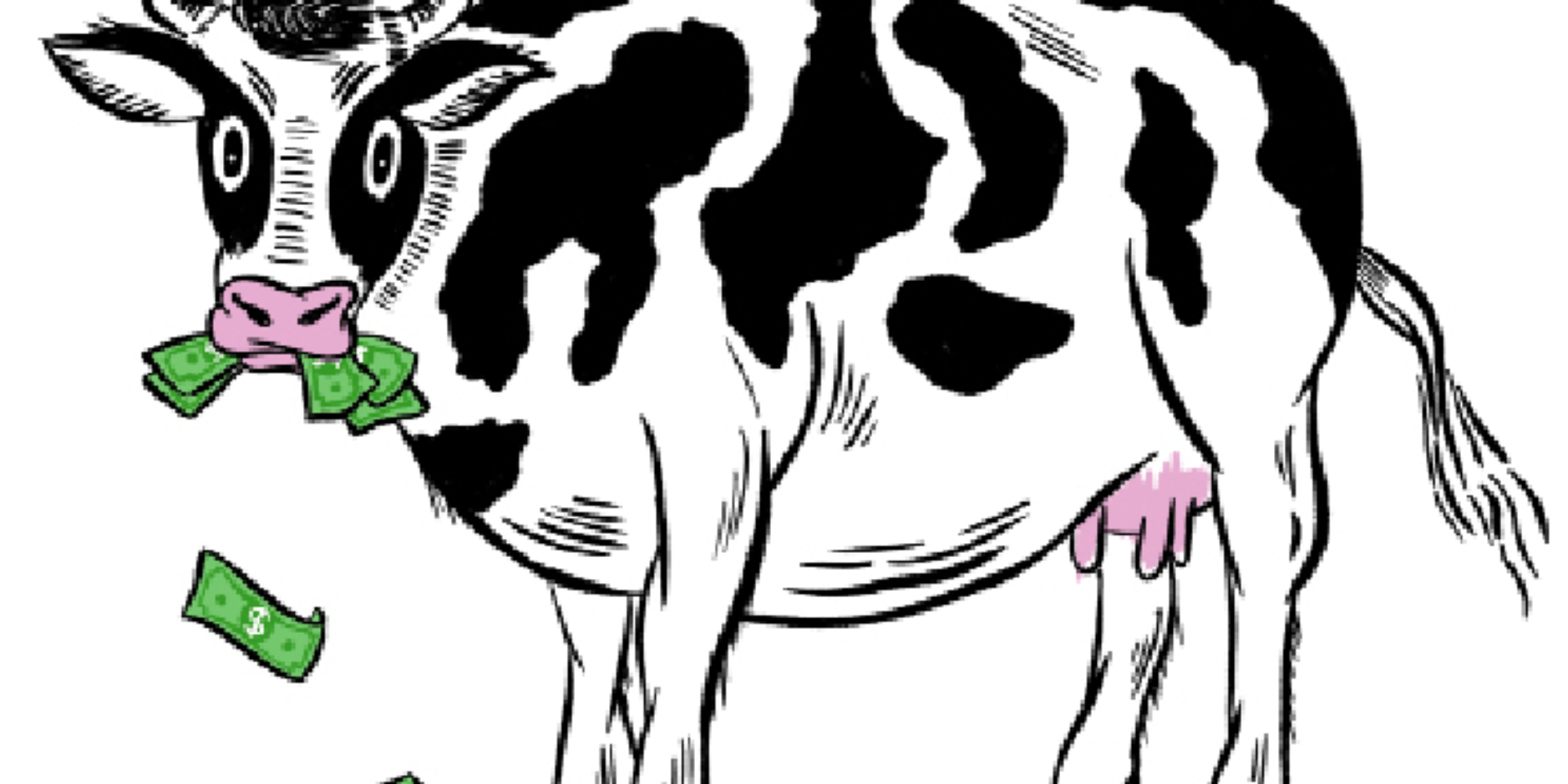 איור: אלירן הרוש ,