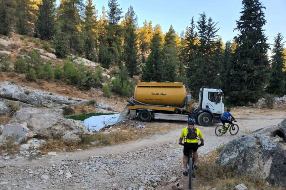 מטייל ומזהם. נהג המשאית בזמן מעשה , חנן גרינווד