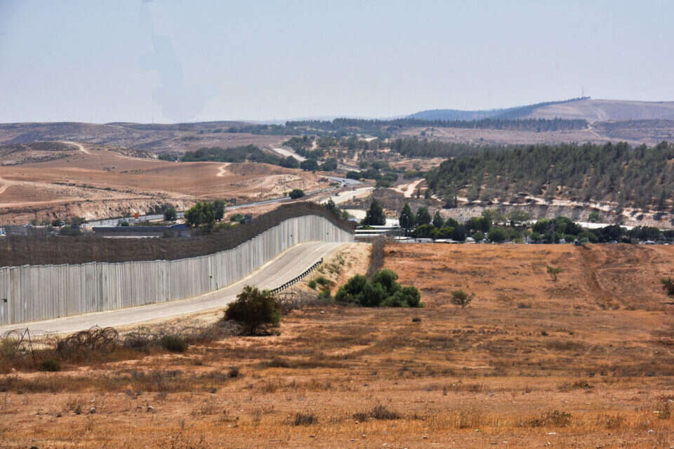 גדר המערכת (ארכיון) , דודו גרינשפן