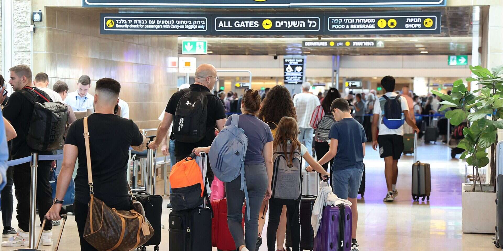 עלייה של 50 אחוז בביטוח ביטול הטיסות , קוקו