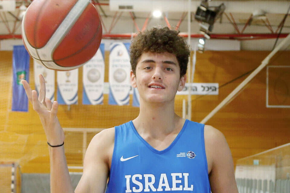 דולינסקי , אלן שיבר