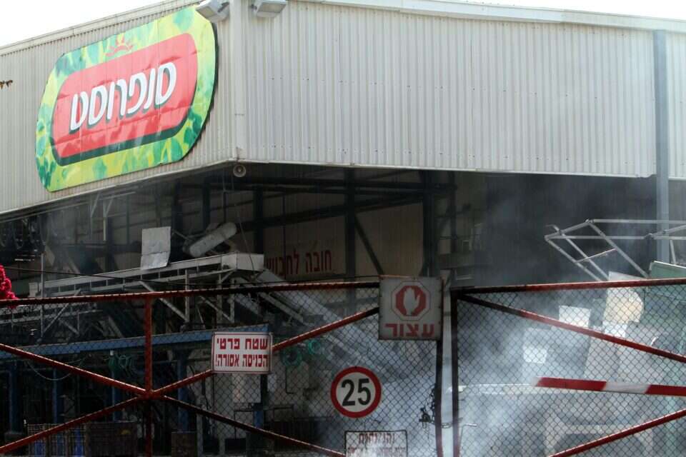 מפעלי סנפרוסט במגדל העמק , דוד כהן