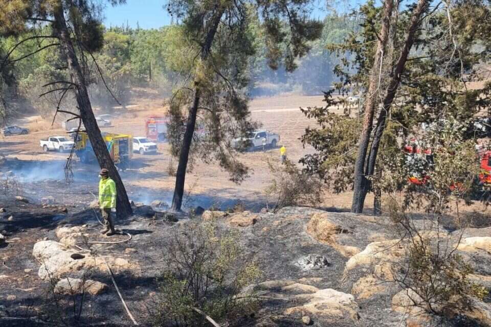 צוותי הכיבוי נלחמים באש , עובדי ויערני קק"ל