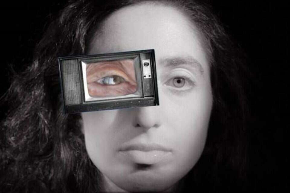 סיגל וסבתה מבעד למסך , דניאל פייקס