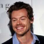 הארי סטיילס