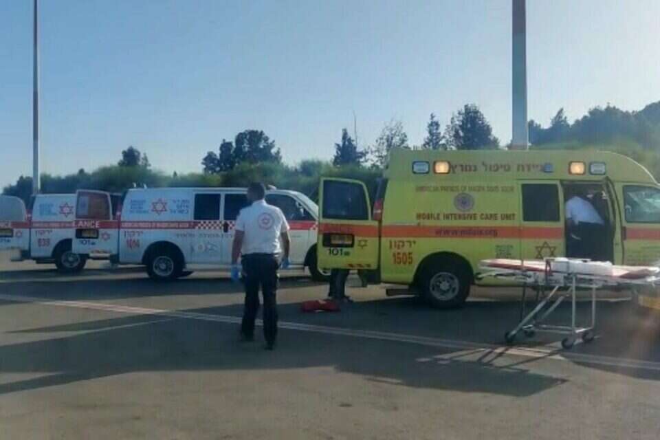 הפצועים מגיאורגיה נחתו בארץ , מד"א