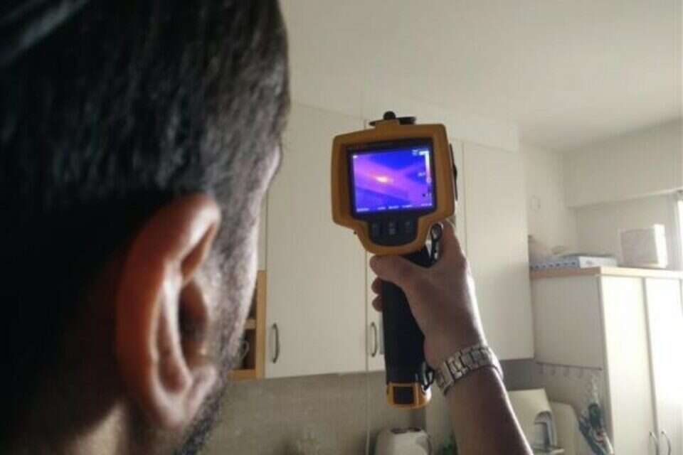 צילום: // ,