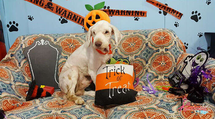 אחרי המייקאובר, מתכונן לליל כל הקדושים