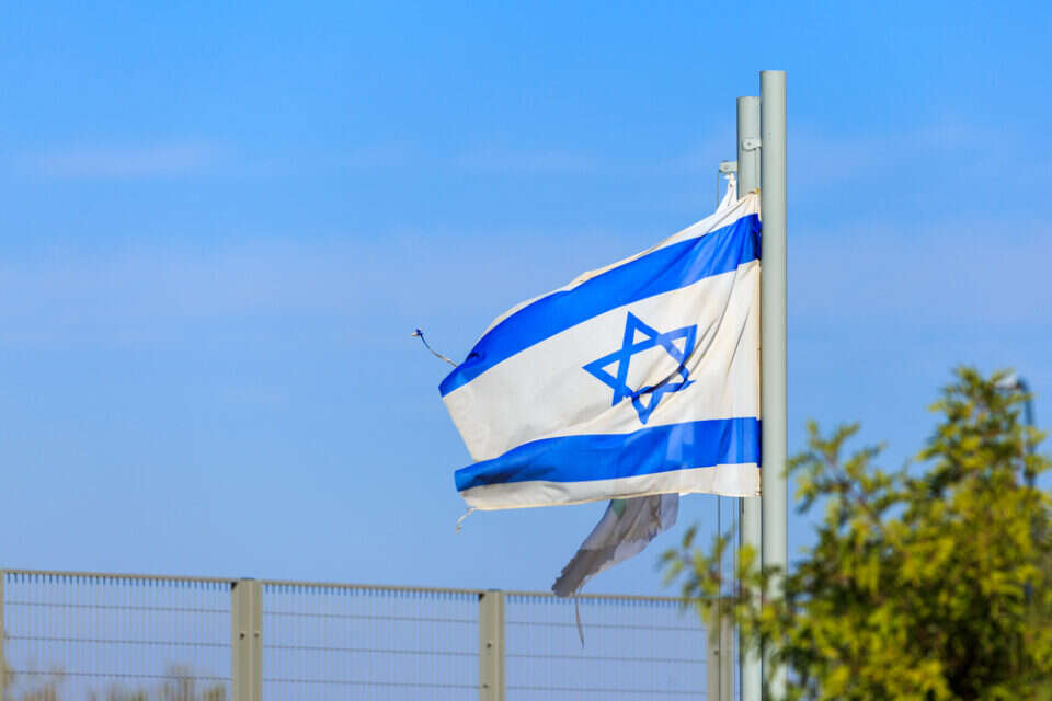 צילום: // ,