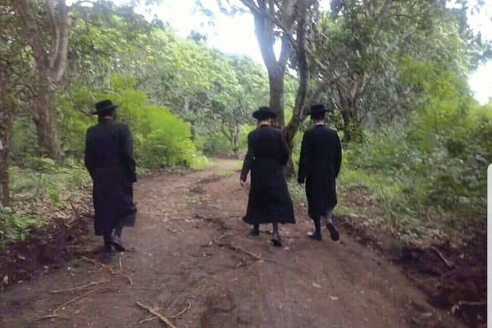 חברי הלב הטהור (ארכיון) , ללא