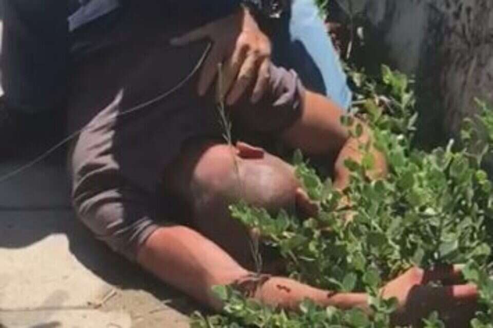 המחבל אסמעיל אבו עראם (19) מנוטרל על ידי אזרחים ביבנה ,