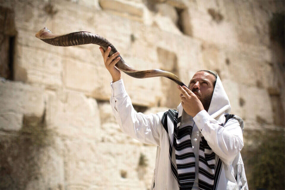 צילומים: יהודה פרץ, אורן בן חקון, יונתן זינדל, יוסי זמיר , 
