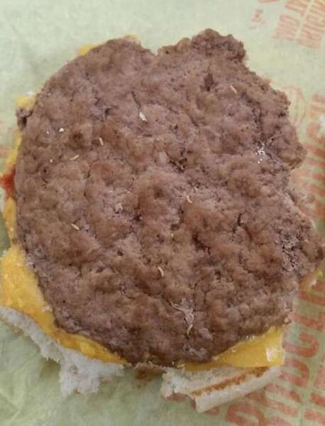 פשוט מגעיל, הקציצה המדוברת // צילום: פייסבוק