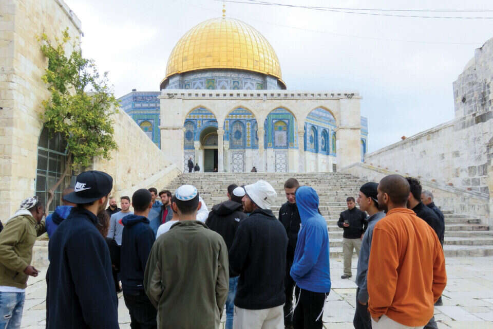 שיא בכניסת יהודים להר הבית. שר החוץ הירדני מאיים // צילום: מטה ארגון המקדש , 