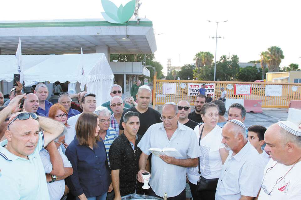 עובדי חיפה כימיקלים בשישי , 