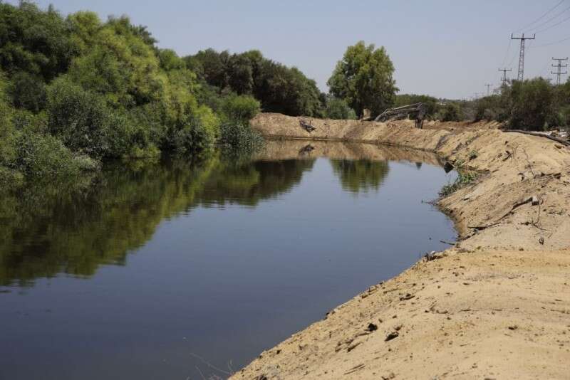 חשש ממשבר תברואתי, עוטף עזה // צילום: יהודה פרץ