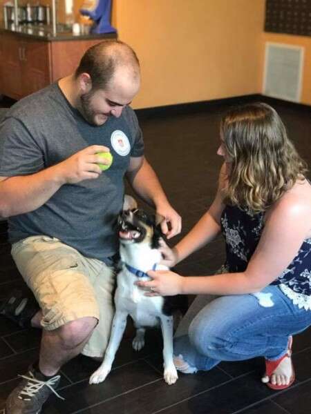 דדלי ובעליו האוהבים במעונות הסטודנטים