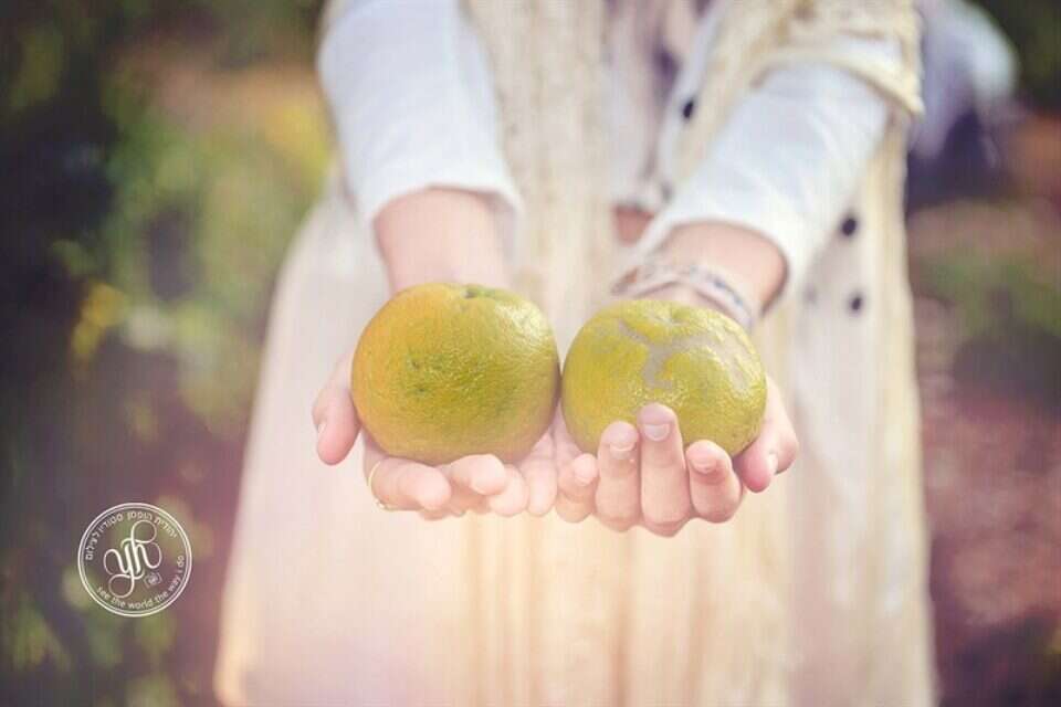צילום: // ,