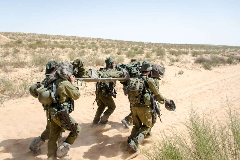 צילום: shutterstock // shutterstock ,